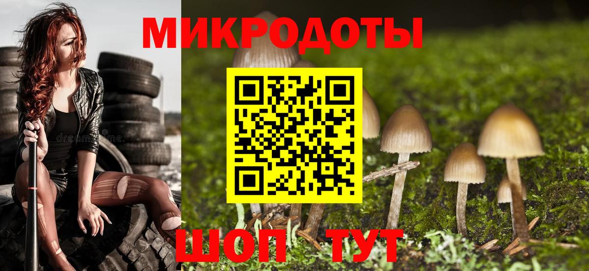 Псилоцибиновые грибы Psilocybe  Галлюциногенные грибы ЛСД  Вход с VPN  Луховицы 